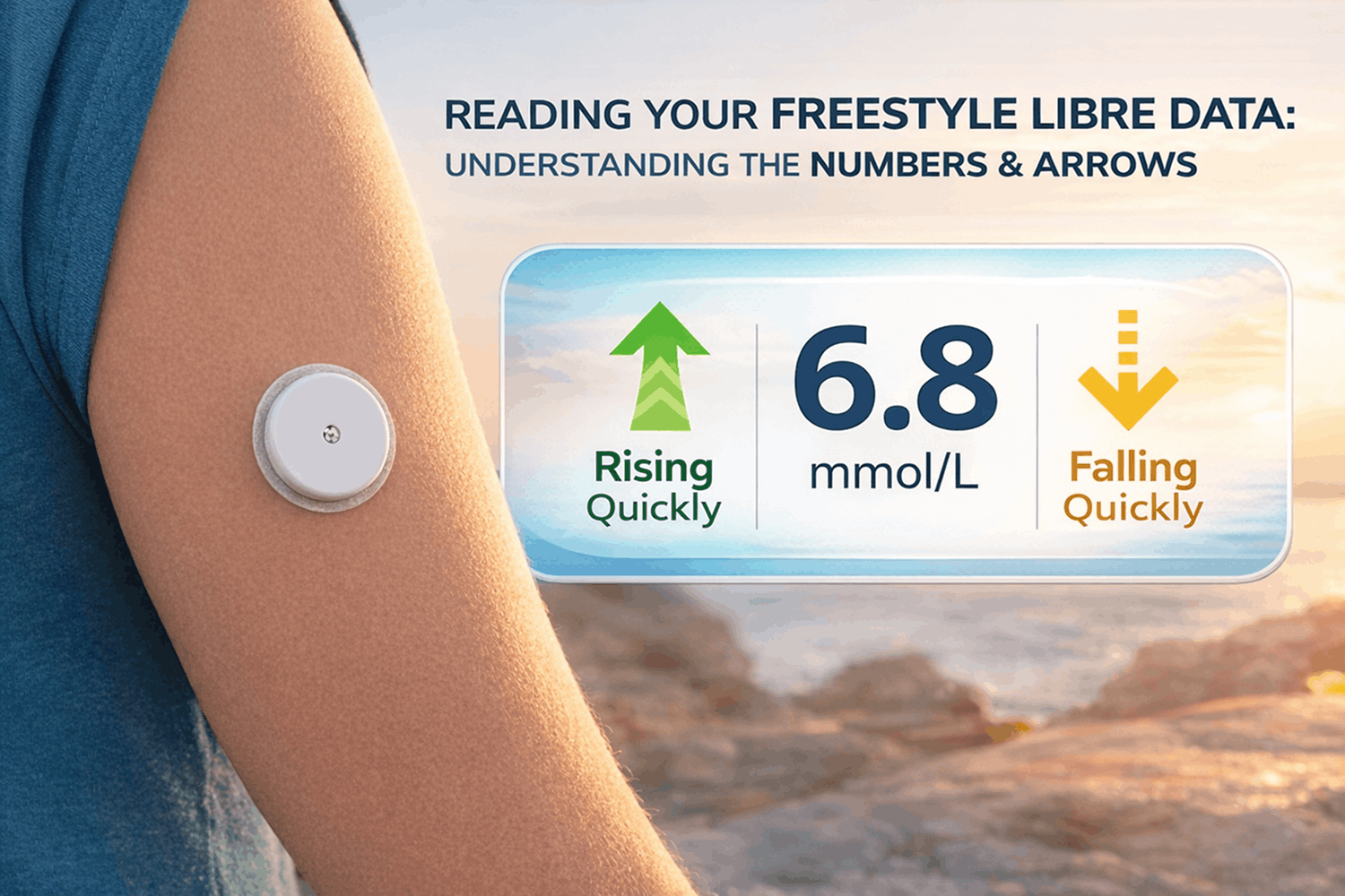 FreeStyle Libre Readings